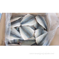 Frozen Mackerel Flaps Oem Size 150-200 200-300g